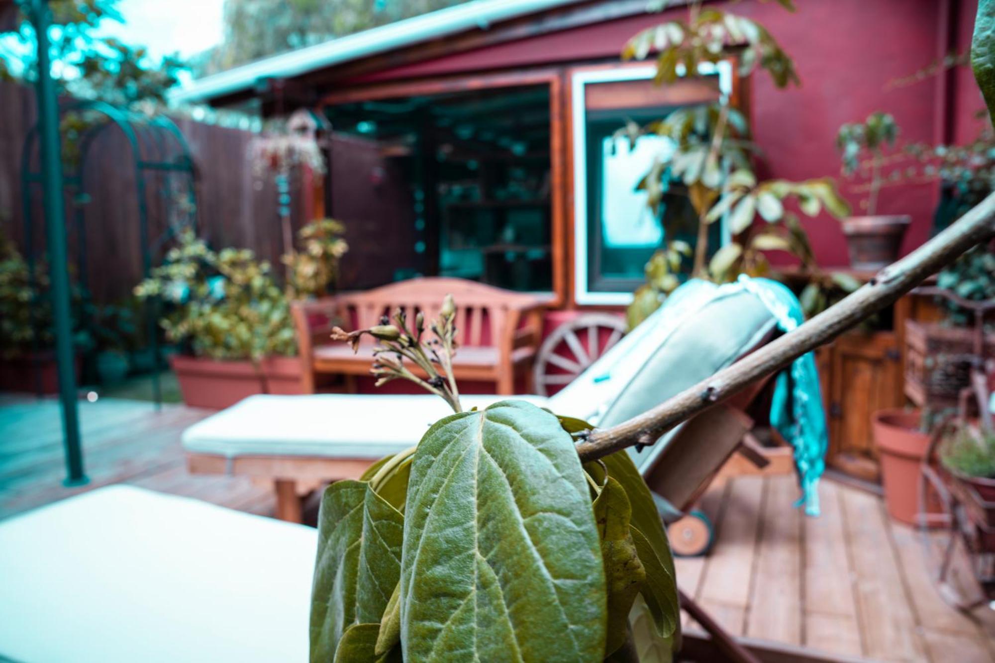 Villa Lajares Red House Fuerteventura エクステリア 写真
